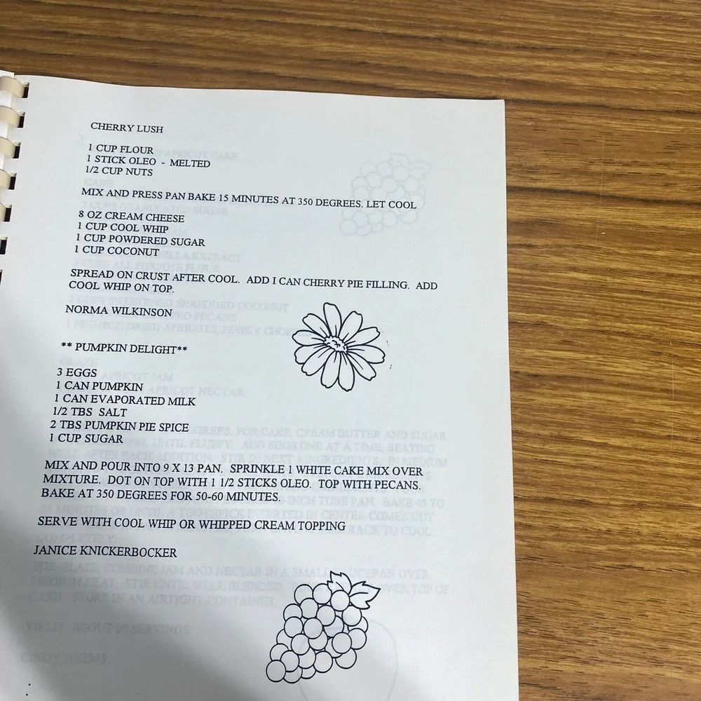 Pilot Potpourri Winnsboro Texas Vintage 1995 Cookbook Pilot Club Tasting Bee